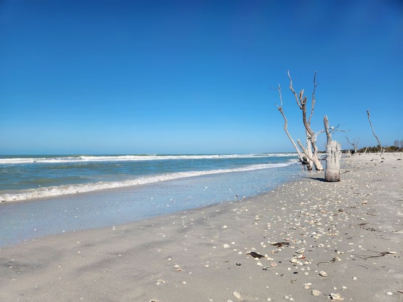 Florida Spots Locals Love That Most Visitors Overlook 21 Cayo Costa State Park, Captiva, Florida