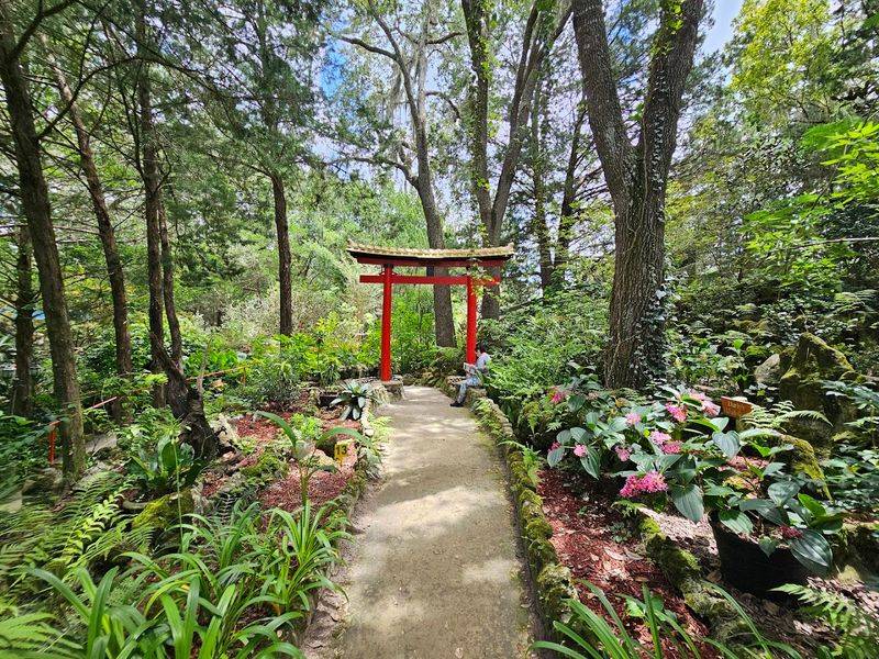 Cedar Lakes Woods and Gardens - Williston, Florida