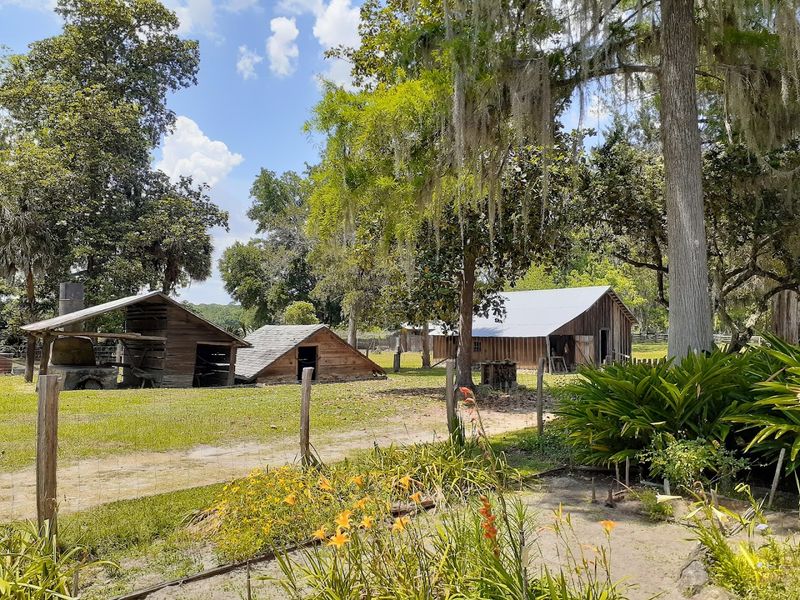 Dudley Farm Historic State Park - Newberry, Florida