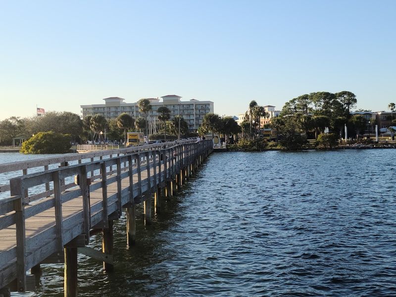 Safety Harbor - Safety Harbor, Florida