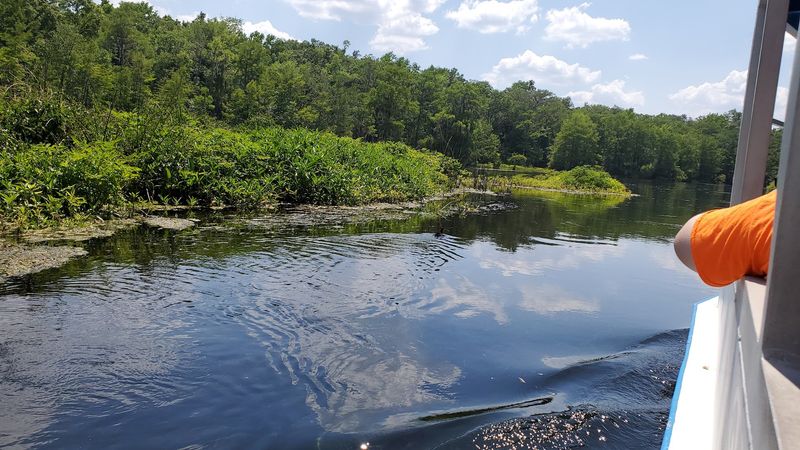 Florida Spots Locals Love That Most Visitors Overlook 14 Wakulla Springs, Florida