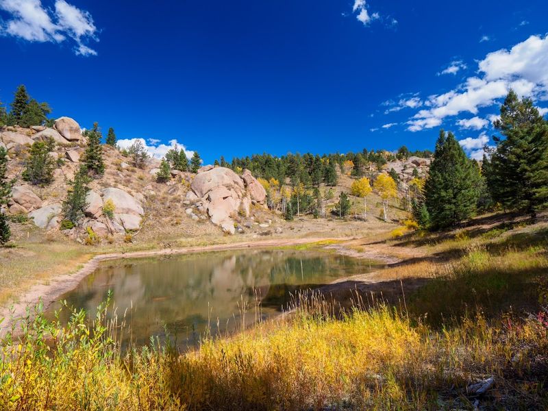 Four Seasons of Beauty That Never Gets Old