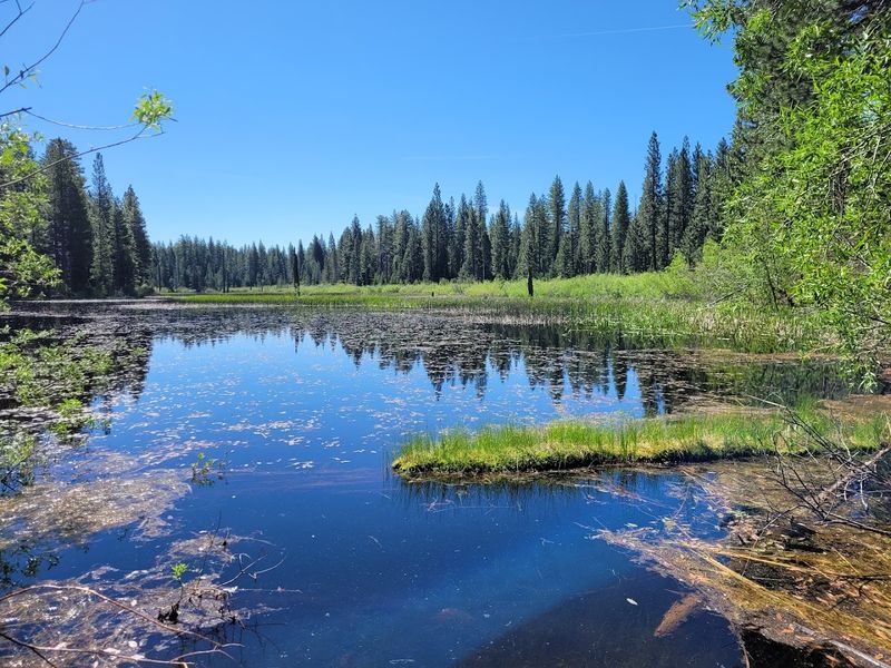 Wildlife Watching in a Peaceful Natural Setting
