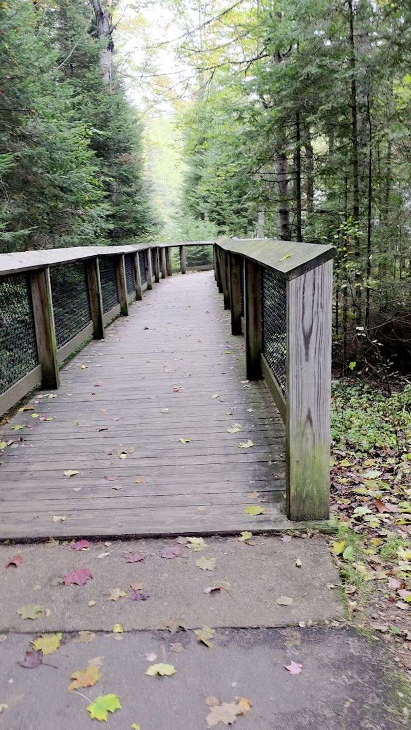 A Boardwalk Built for the Best Views