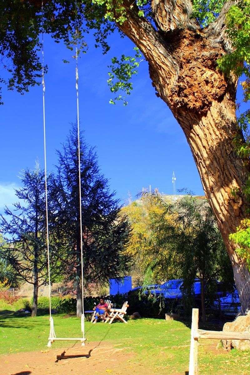 A Giant Swing That Brings Out Your Inner Kid