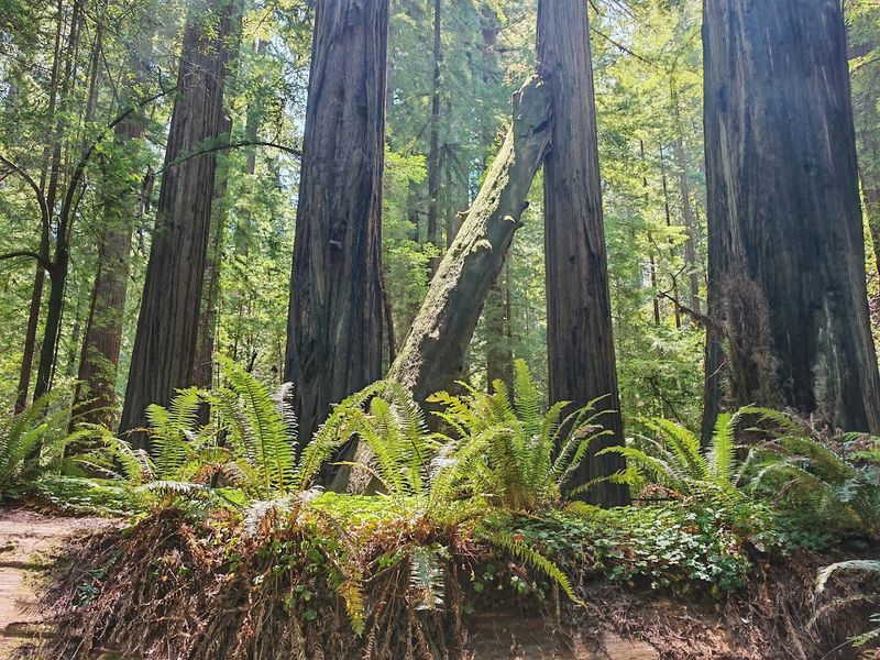 The Crisp, Cool Air That Smells Like Nothing Else on Earth