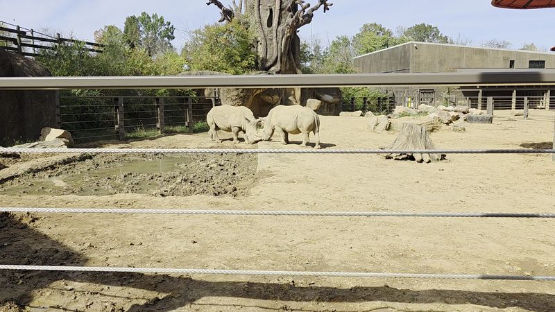 Themed Habitats That Transport You to Another Continent