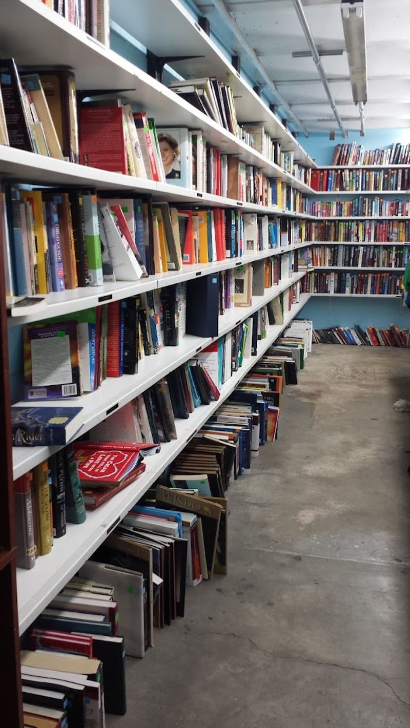 Books, DVDs, and CDs for the Media Lover