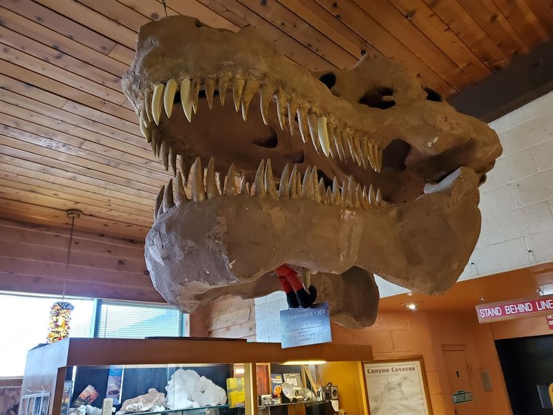 The Gift Shop and Visitor Experience: Little Extras That Matter