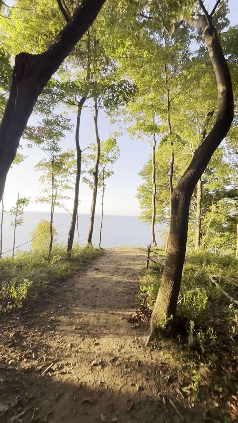 The Undeveloped Character That Makes Erie Bluffs Special