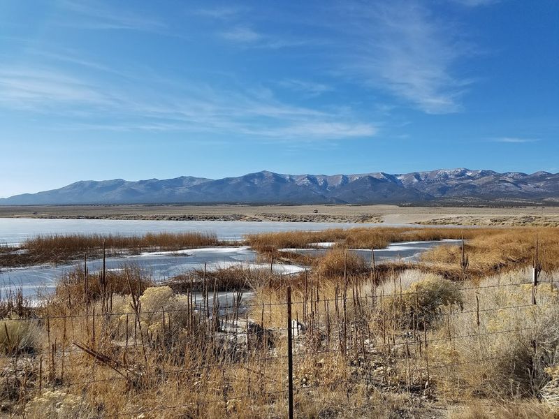 Great Basin National Park: A Day Trip Worth Every Mile