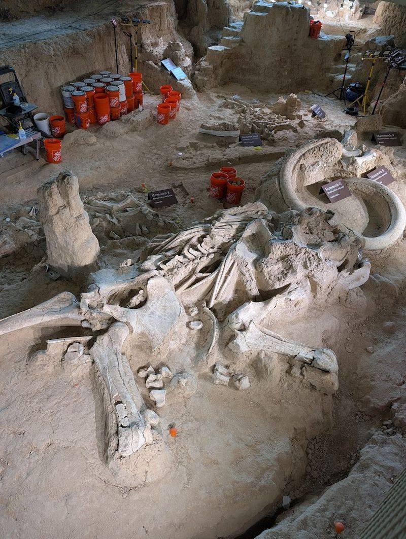 Waco Mammoth National Monument - Waco, Texas