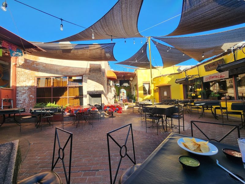 A Dog-Friendly Patio That Welcomes Everyone