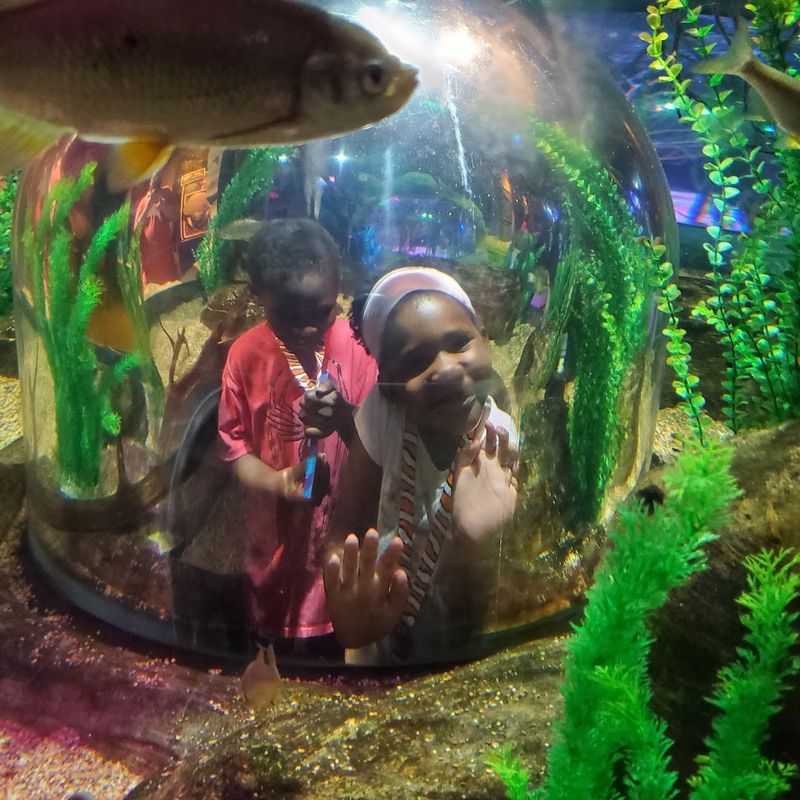 Let Kids Discover Pop-Out Viewing Bubbles