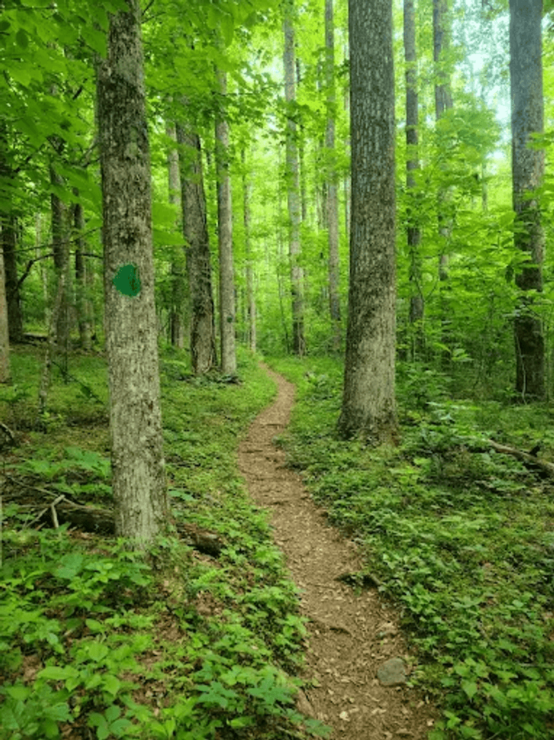Explore Rocky Knob Recreation Area