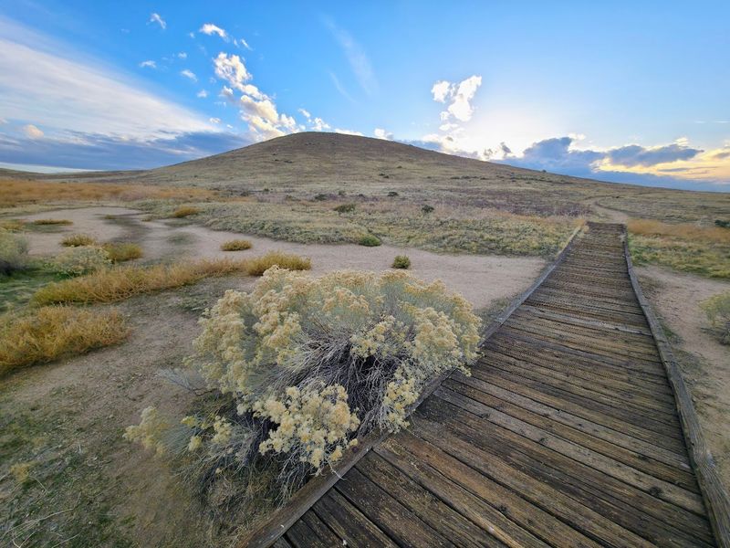 How the Reserve Looks Even Outside of Poppy Season