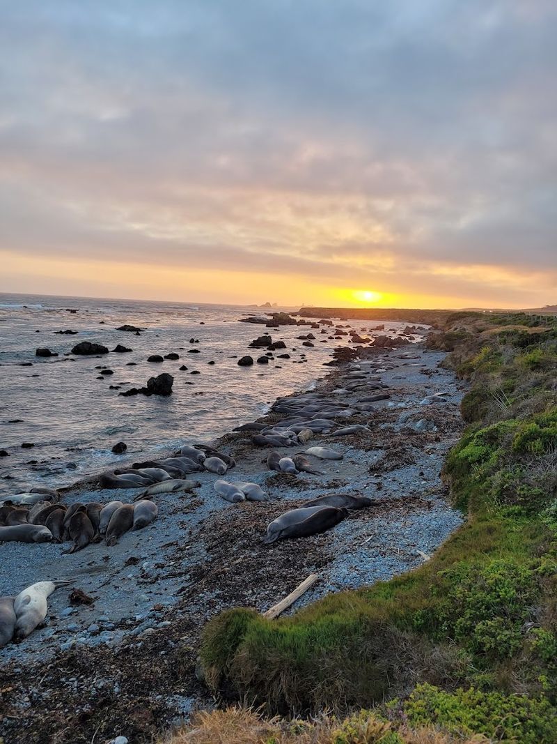 Cambria, California