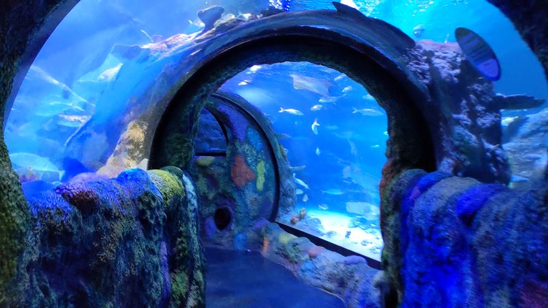 Walk Through Michigan’s First Underwater Tunnel