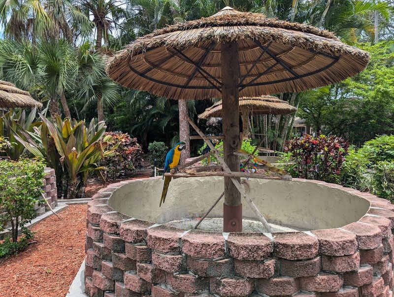 Lorikeet Feeding Experience