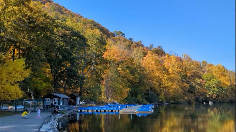 Trailside Museums and Zoo