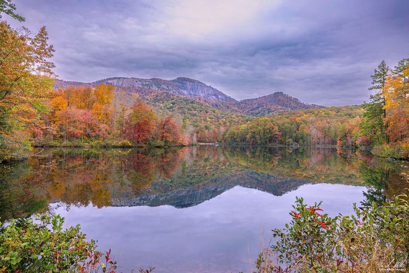 Fall Foliage That Stops You in Your Tracks