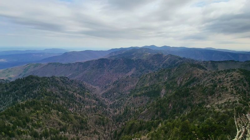 Camping Under the Stars in True Wilderness