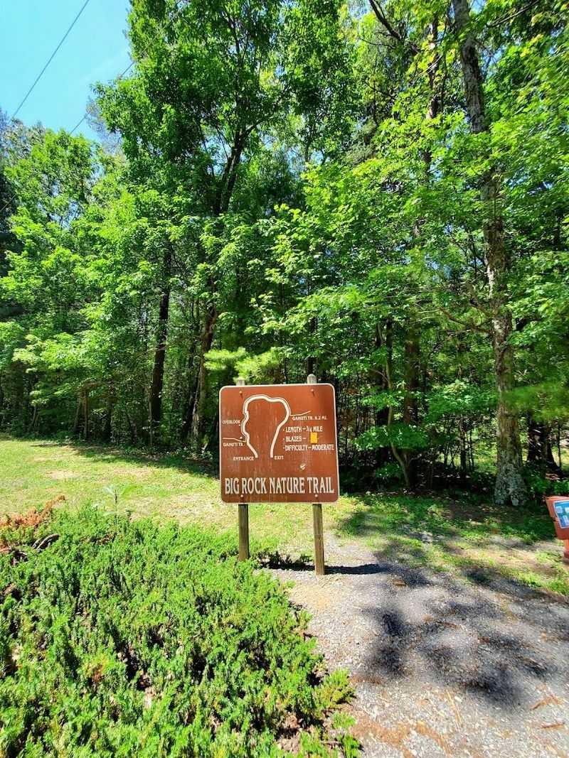 Wildlife and Bear Awareness