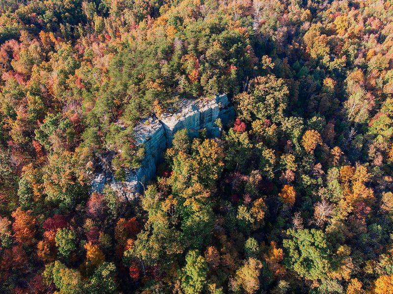 Fall Foliage That Transforms the Whole Scene