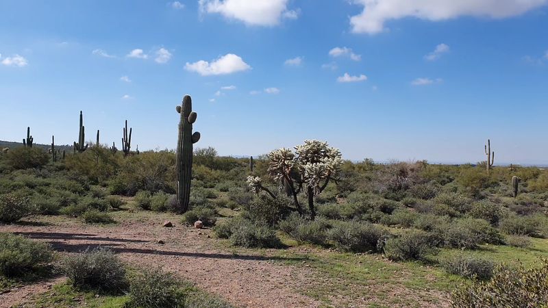 Family-Friendly Hiking: Easy Trails That Keep Everyone Happy