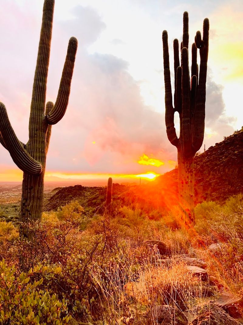 Best Time of Day and Season to Visit