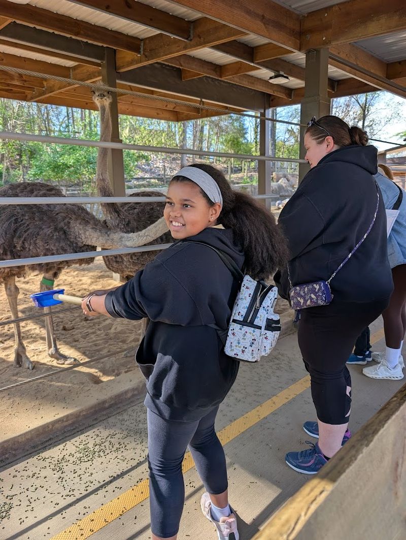 Accessibility Features That Make the Park Welcoming for Everyone