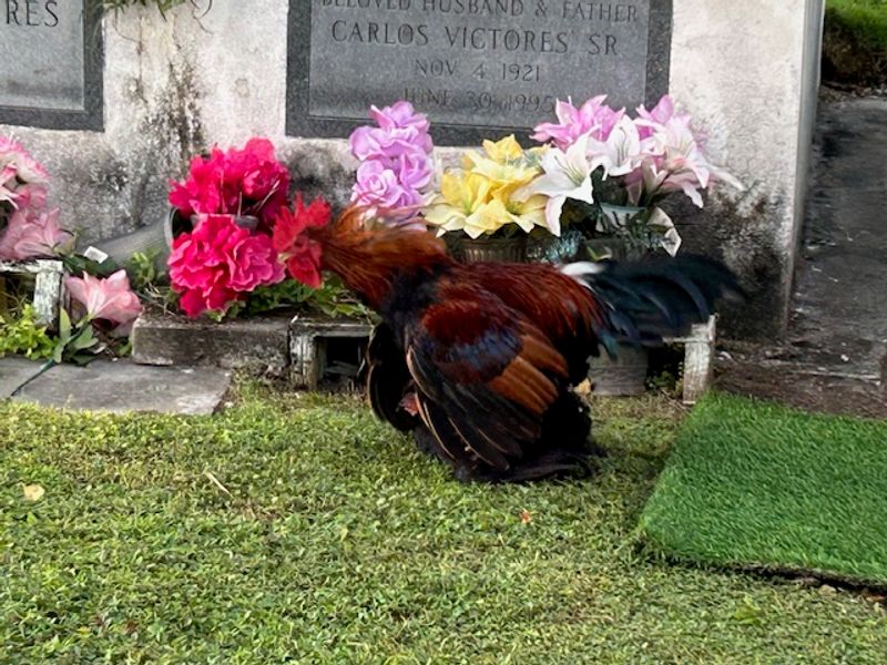 Famous and Colorful Key West Residents Buried Here