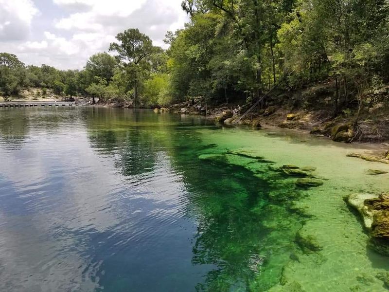 Florida’s Clearest Springs That Feel Quietly Unreal in Person 18 Troy Springs State Park - Branford, Florida