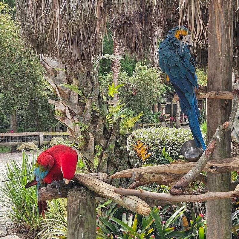 Aviary and Bird Encounters