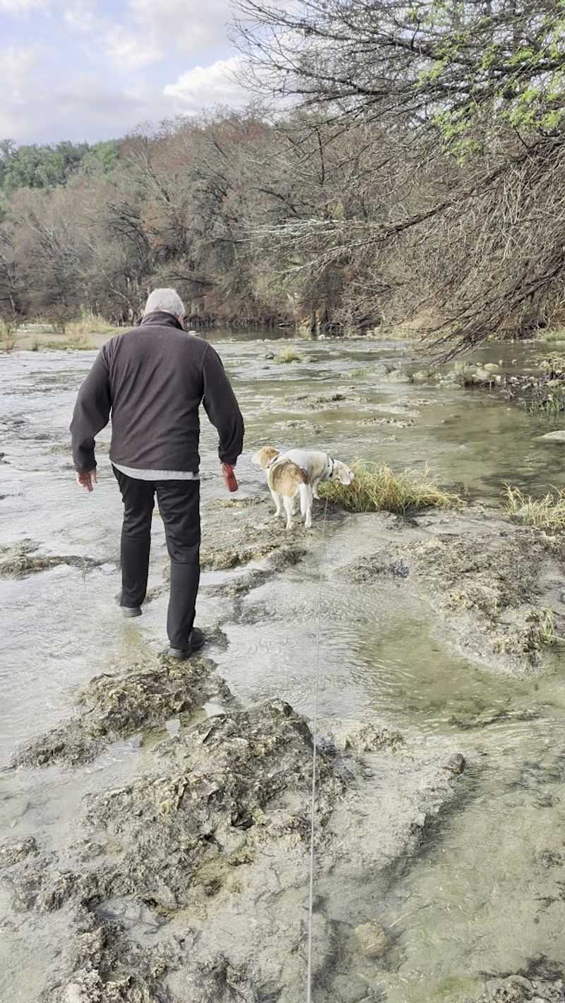 Ranger-Led Programs and Interactive Activities