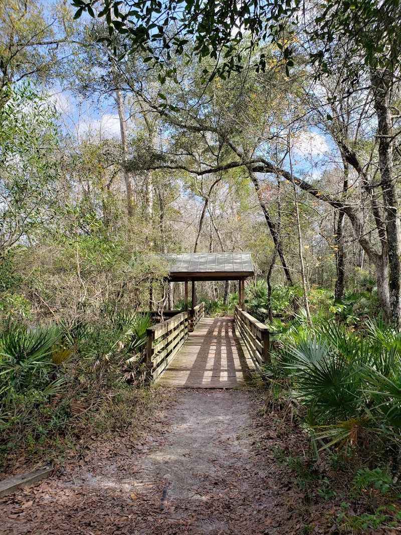 Practical Tips for Planning Your Visit to O'Leno