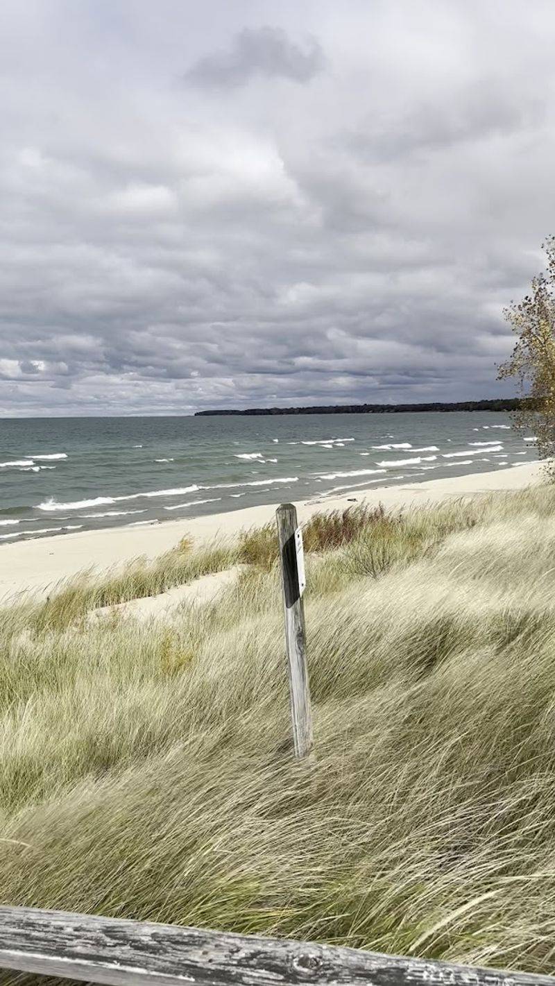 Cross-Country Skiing in Winter