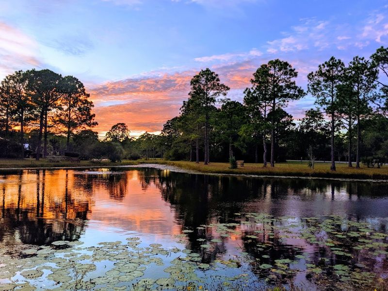 Fishing Opportunities in a Stunning Natural Setting