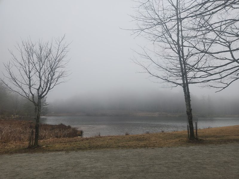 Practical Details Before You Go