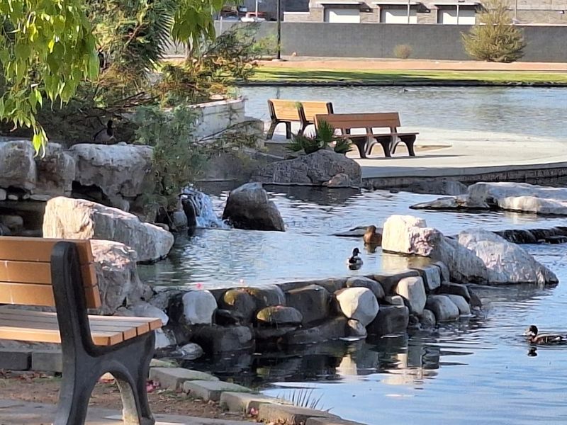 Fishing in the Heart of Town