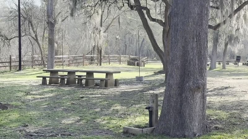 Picnicking in One of Texas's Most Scenic Outdoor Settings