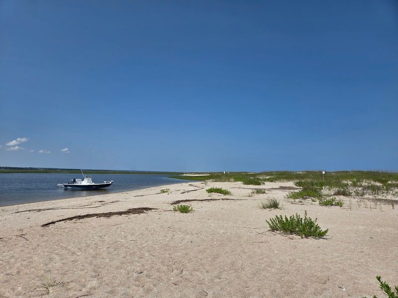 Fishing on the Inland Side