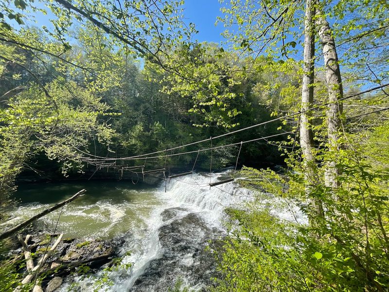 Birdwatching Hotspot: Great Blue Herons and Peregrine Falcons