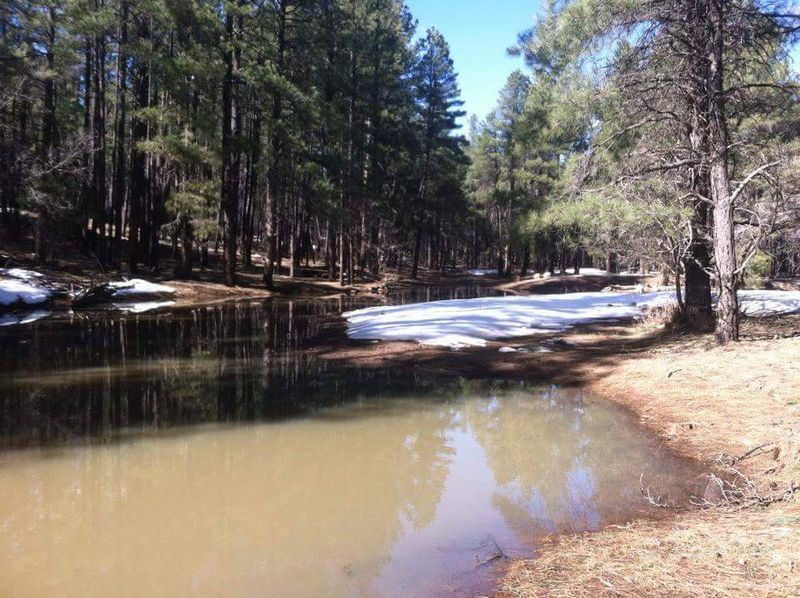 18 Beautiful Arizona Mountain Towns Where Life Moves Slower And Costs Less 13 Munds Park - Arizona