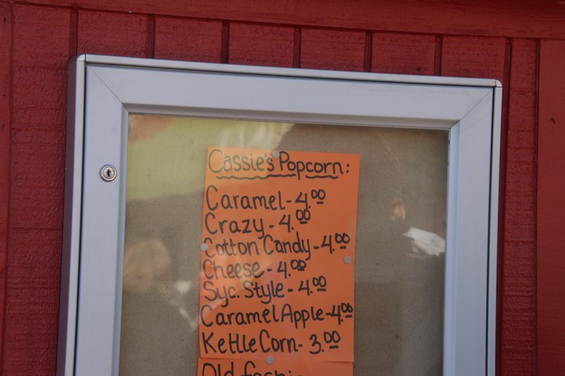 A Phone Call Away for Curious Visitors