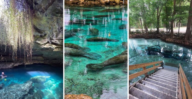Florida’s Clearest Springs That Feel Quietly Unreal in Person