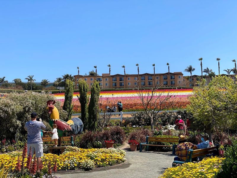 Plants, Gifts, and the Marketplace