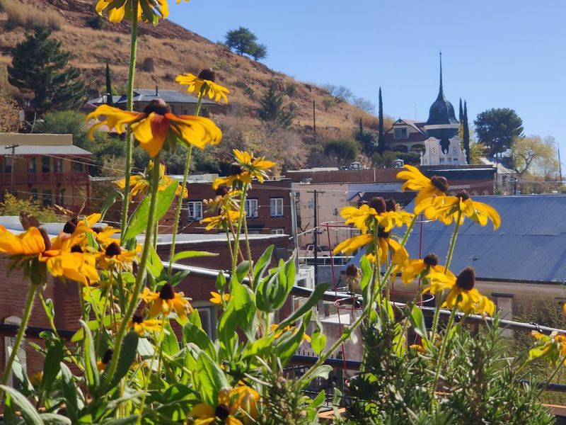 The Lavender Pit: Beauty Born from Industry
