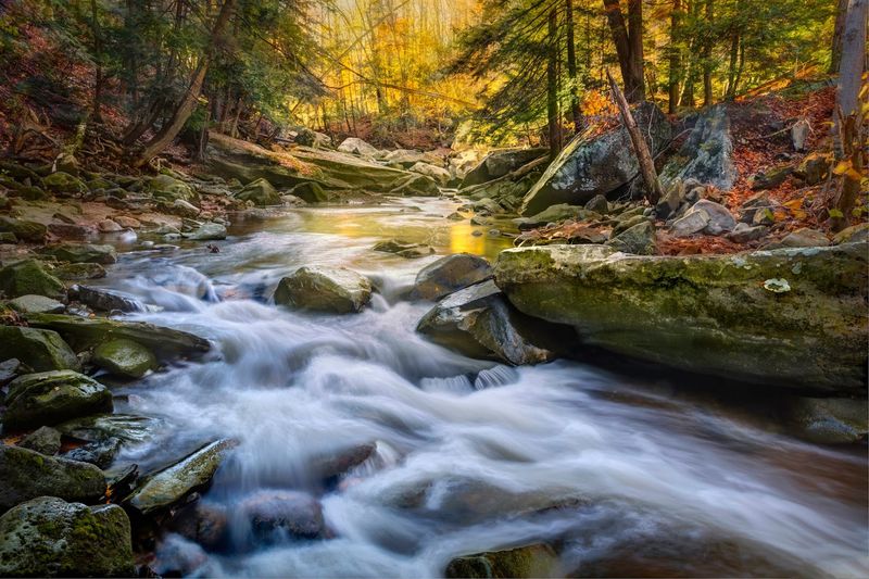 Rocky Creek Crossings: Stepping Stones and Stream Views