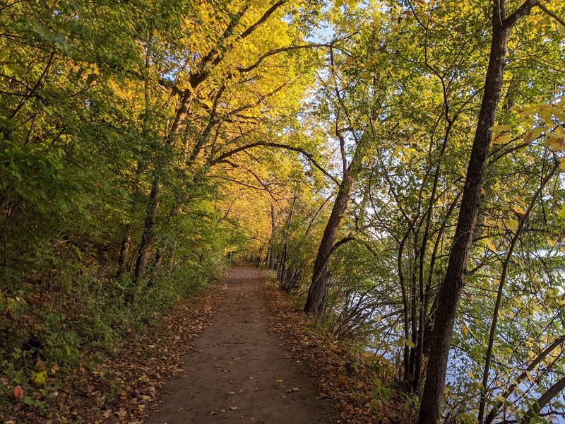 Incredible Biodiversity